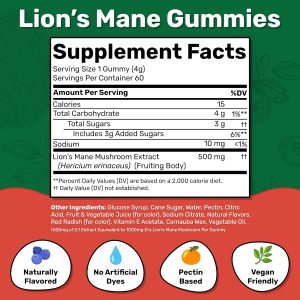 Fungies Lions Mane Gummies